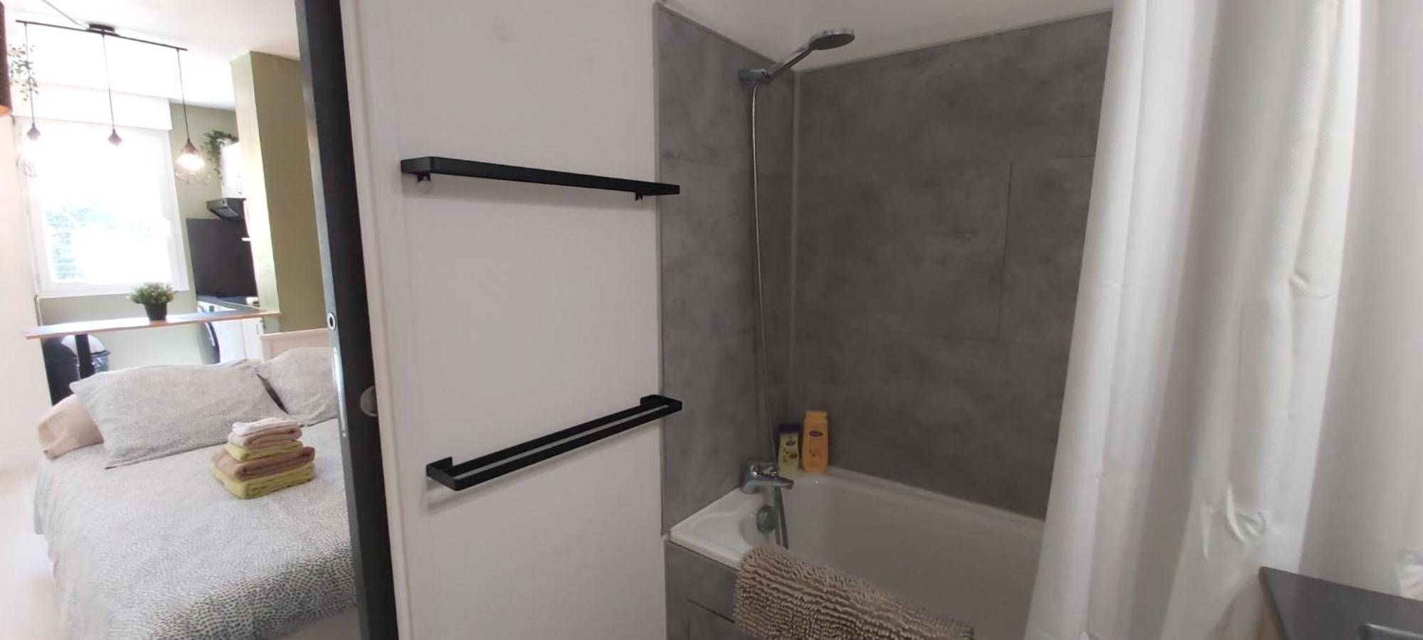 Apartmán Les Elfes - Avec Entree Autonome, Clim Neuve, Jardin, Parking Prive & Gourmandises Offertes ! - Toulouse Exteriér fotografie
